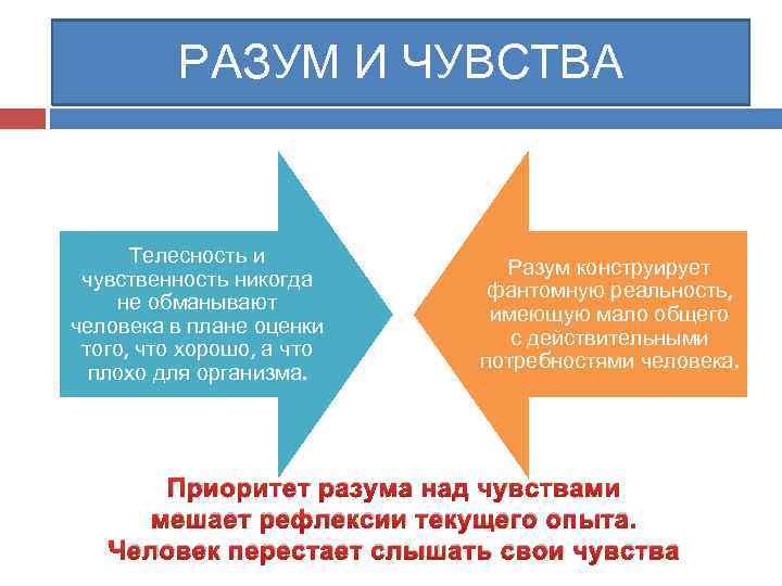 РАЗУМ И ЧУВСТВА Телесность и чувственность никогда не обманывают человека в плане оценки того,