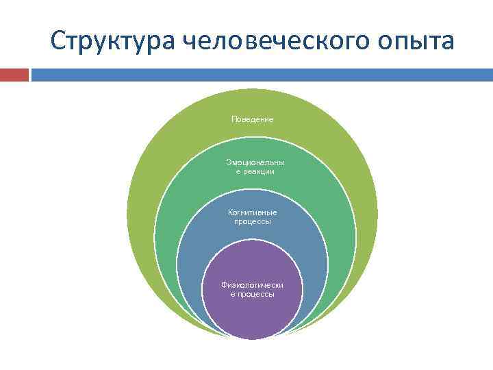 Структура человеческого опыта Поведение Эмоциональны е реакции Когнитивные процессы Физиологически е процессы 