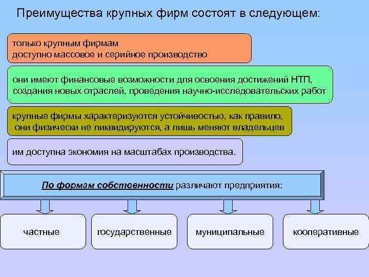 Преимущества крупных фирм состоят в следующем: только крупным фирмам доступно массовое и серийное производство