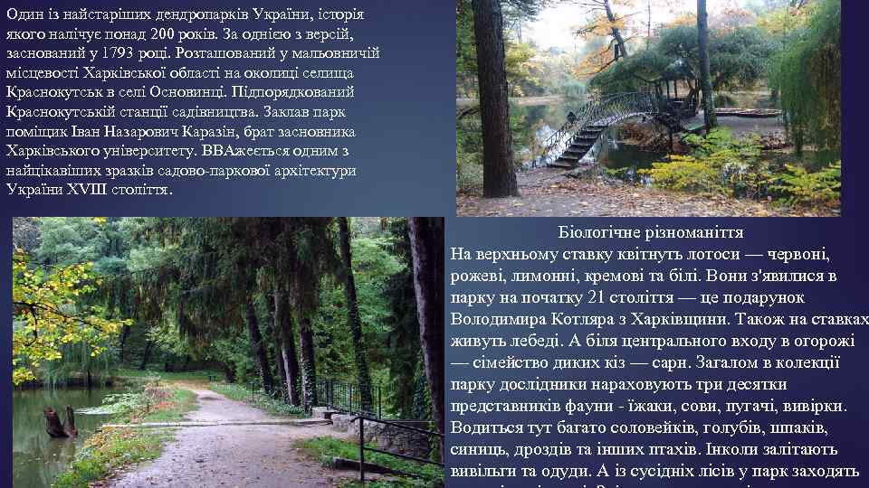 Один із найстаріших дендропарків України, історія якого налічує понад 200 років. За однією з