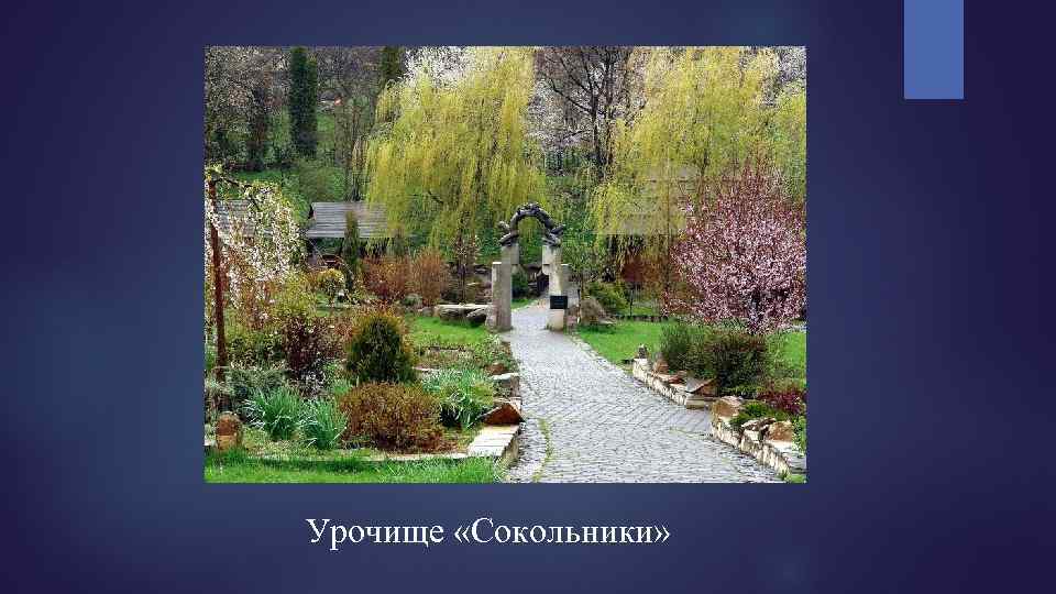 Урочище «Сокольники» 