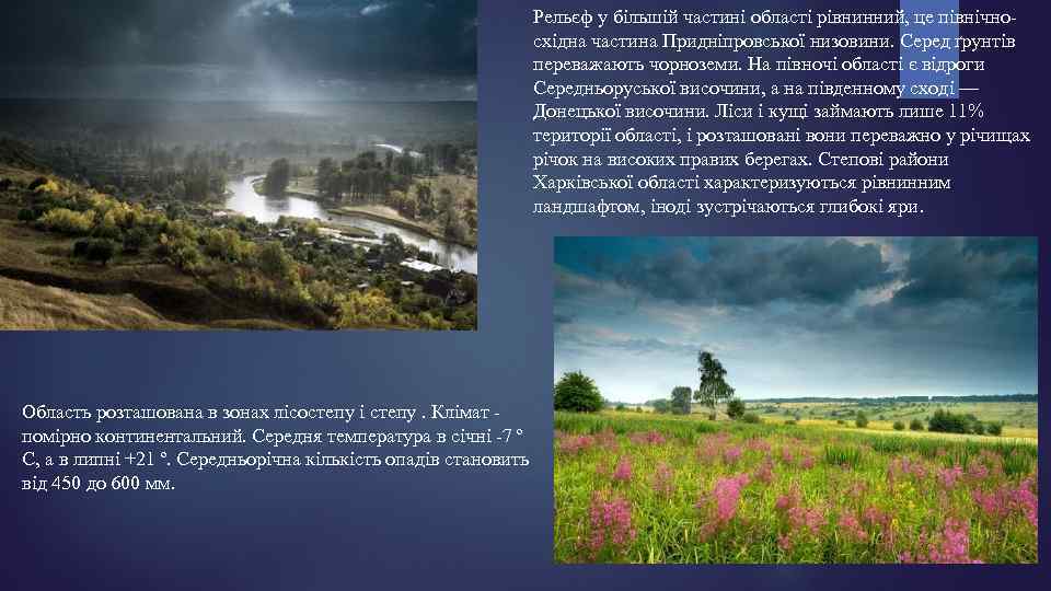 Рельєф у більшій частині області рівнинний, це північносхідна частина Придніпровської низовини. Серед ґрунтів переважають