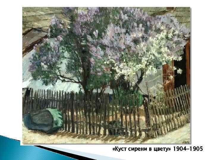  «Куст сирени в цвету» 1904 -1905 