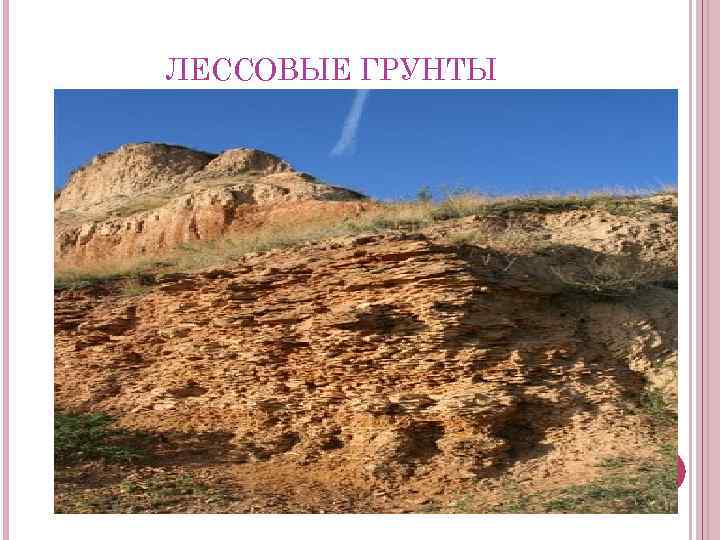 ЛЕССОВЫЕ ГРУНТЫ 