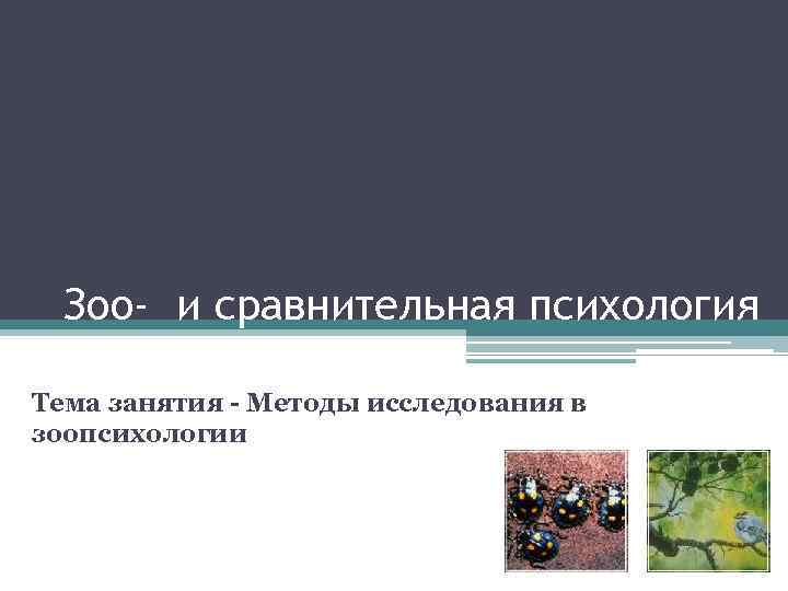 Зоо- и сравнительная психология Тема занятия - Методы исследования в зоопсихологии 