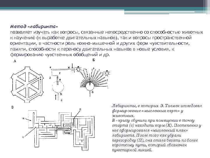 Метод «лабиринта» позволяет изучать как вопросы, связанные непосредственно со способностью животных к научению (к