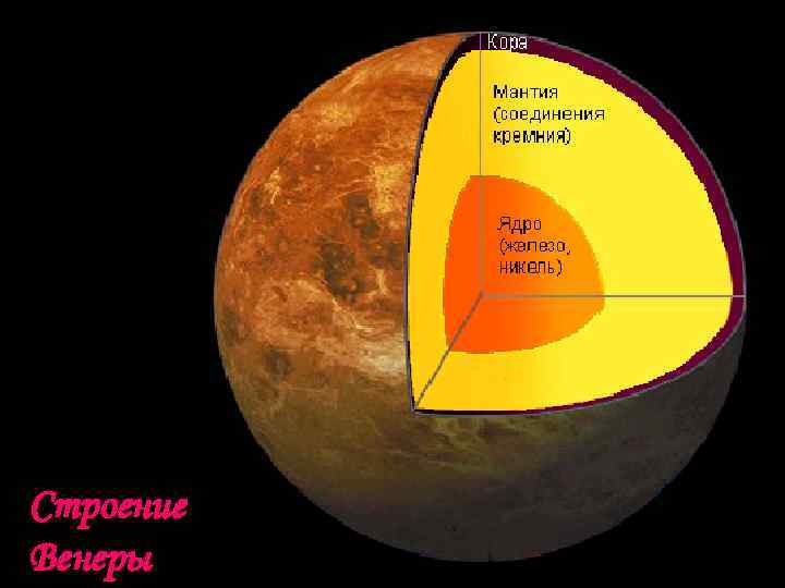Строение Венеры 