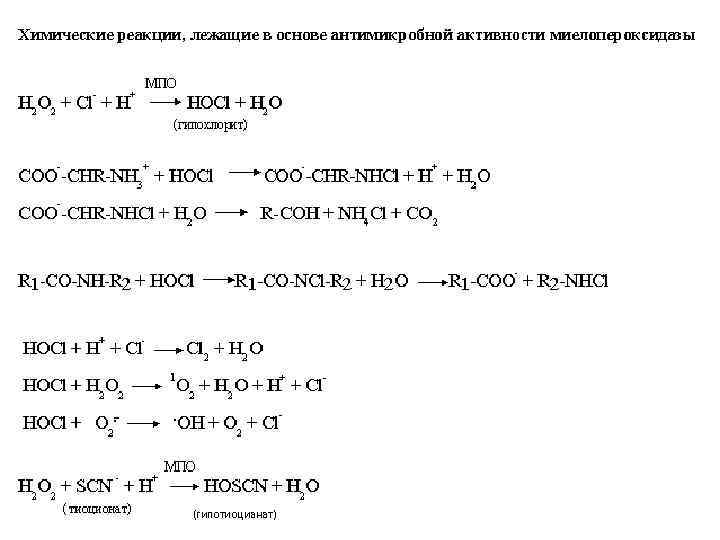 Химические реакции, лежащие в основе антимикробной активности миелопероксидазы МПО . . - МПО (гипотиоцианат)