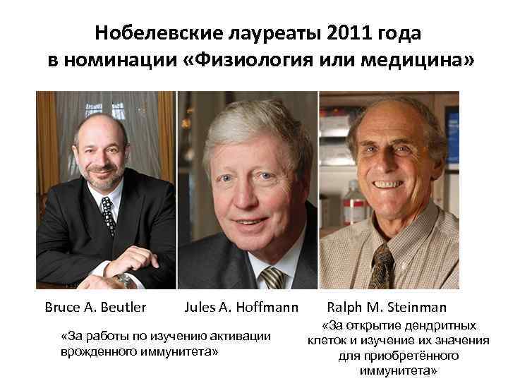 Нобелевские лауреаты 2011 года в номинации «Физиология или медицина» Bruce A. Beutler Jules A.
