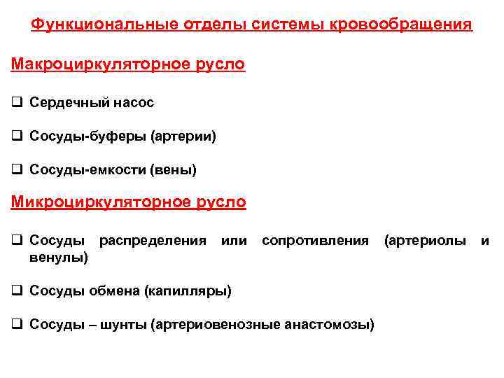 Функциональные отделы системы кровообращения Макроциркуляторное русло q Сердечный насос q Сосуды-буферы (артерии) q Сосуды-емкости