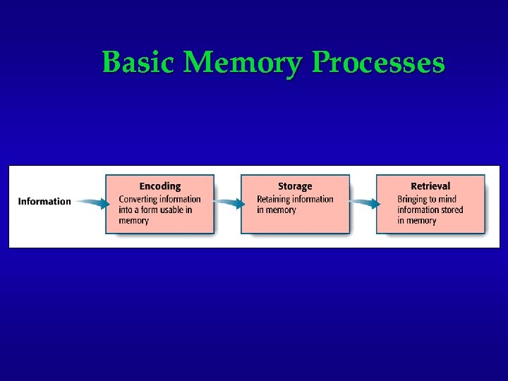 Basic Memory Processes 
