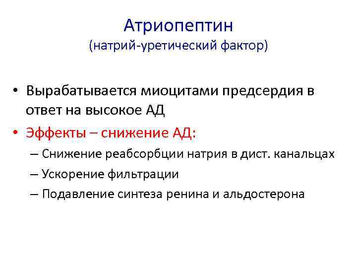 Атриопептин (натрий-уретический фактор) • Вырабатывается миоцитами предсердия в ответ на высокое АД • Эффекты