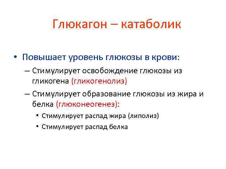 Глюкагон – катаболик • Повышает уровень глюкозы в крови: – Стимулирует освобождение глюкозы из