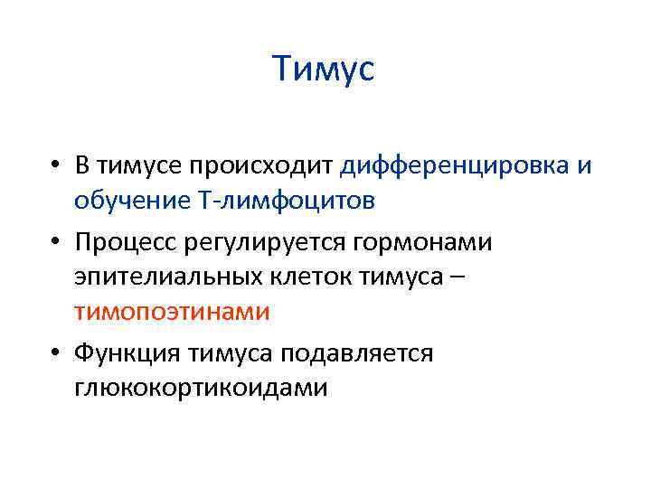 Тимус • В тимусе происходит дифференцировка и обучение Т-лимфоцитов • Процесс регулируется гормонами эпителиальных