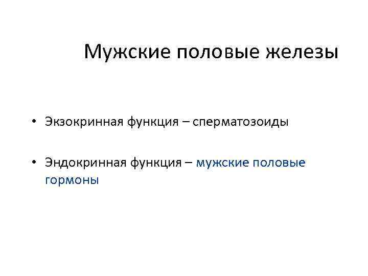 Мужские половые железы • Экзокринная функция – сперматозоиды • Эндокринная функция – мужские половые