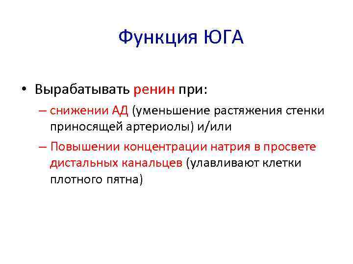 Функция ЮГА • Вырабатывать ренин при: – снижении АД (уменьшение растяжения стенки приносящей артериолы)