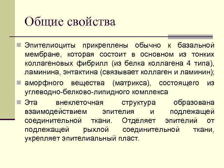 Общие свойства n Эпителиоциты прикреплены обычно к базальной мембране, которая состоит в основном из