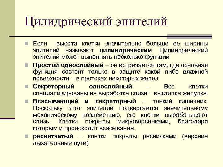 Цилидрический эпителий n Если n n высота клетки значительно больше ее ширины эпителий называют