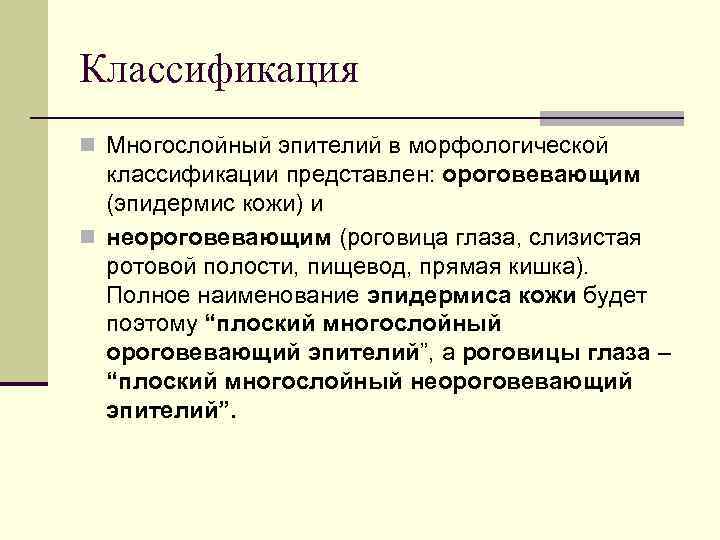 Классификация n Многослойный эпителий в морфологической классификации представлен: ороговевающим (эпидермис кожи) и n неороговевающим