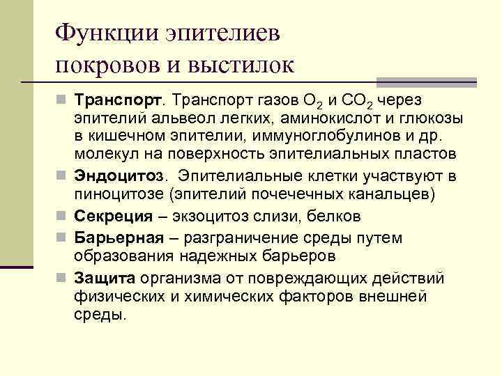 Функции эпителиев покровов и выстилок n Транспорт газов О 2 и СО 2 через