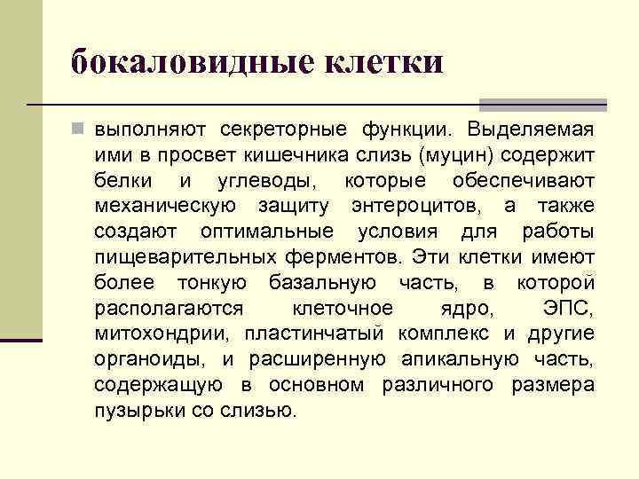 бокаловидные клетки n выполняют секреторные функции. Выделяемая ими в просвет кишечника слизь (муцин) содержит