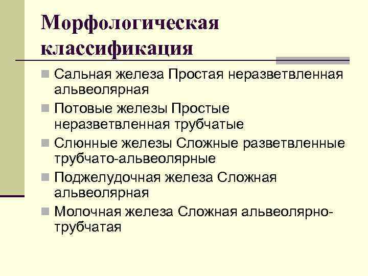 Морфологическая классификация n Сальная железа Простая неразветвленная альвеолярная n Потовые железы Простые неразветвленная трубчатые