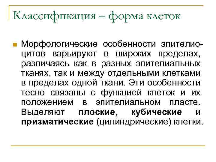 Классификация – форма клеток n Морфологические особенности эпителиоцитов варьируют в широких пределах, различаясь как