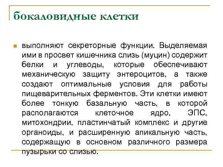 бокаловидные клетки n выполняют секреторные функции. Выделяемая ими в просвет кишечника слизь (муцин) содержит