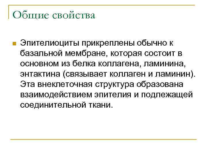 Общие свойства n Эпителиоциты прикреплены обычно к базальной мембране, которая состоит в основном из