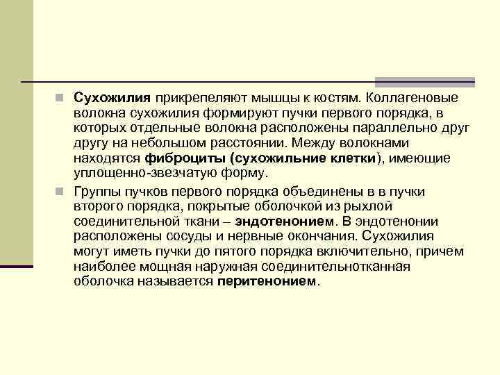 n Сухожилия прикрепеляют мышцы к костям. Коллагеновые волокна сухожилия формируют пучки первого порядка, в