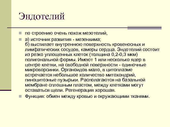 Эндотелий n по строению очень похож мезотелий, n а) источник развития - мезенхима; б)