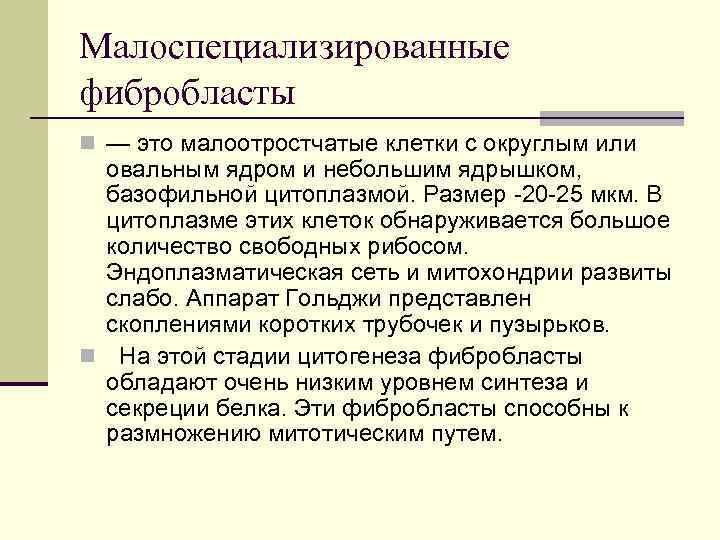 Малоспециализированные фибробласты n — это малоотростчатые клетки с округлым или овальным ядром и небольшим