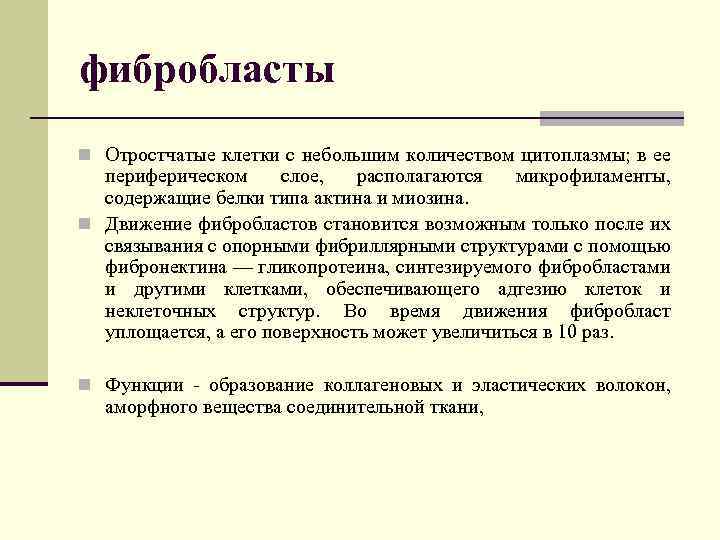 фибробласты n Отростчатые клетки с небольшим количеством цитоплазмы; в ее периферическом слое, располагаются микрофиламенты,