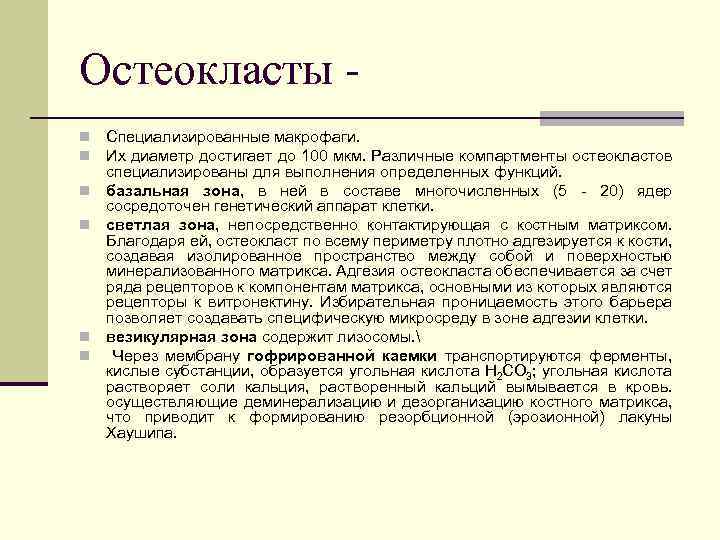 Остеокласты n n n Специализированные макрофаги. Их диаметр достигает до 100 мкм. Различные компартменты