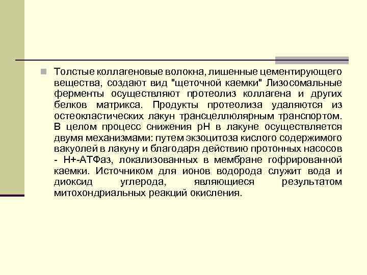 n Толстые коллагеновые волокна, лишенные цементирующего вещества, создают вид 