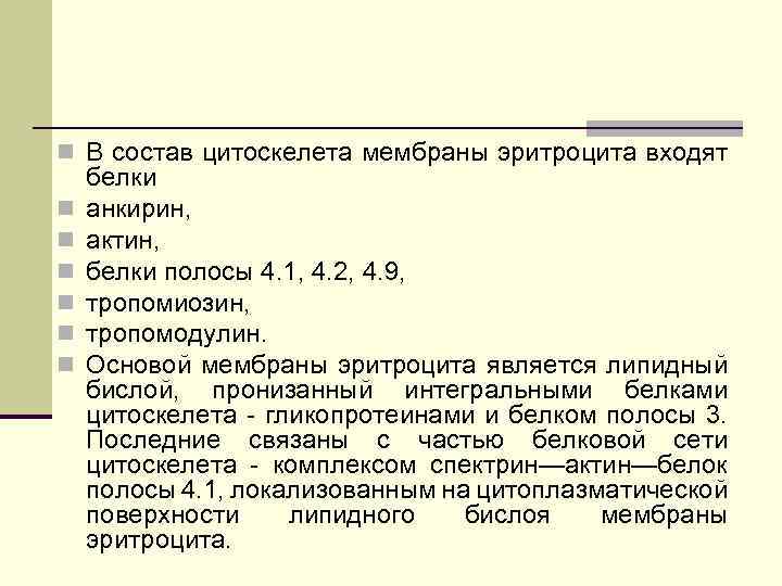 n В состав цитоскелета мембраны эритроцита входят n n n белки анкирин, актин, белки