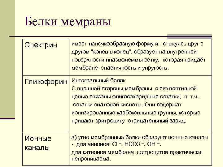 Белки мемраны Спектрин имеет палочкообразную форму и, стыкуясь друг с другом 