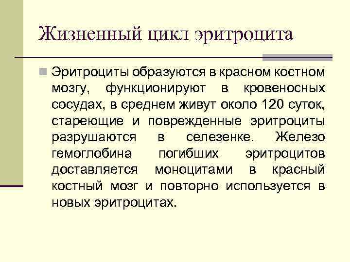 Жизненный цикл эритроцита n Эритроциты образуются в красном костном мозгу, функционируют в кровеносных сосудах,