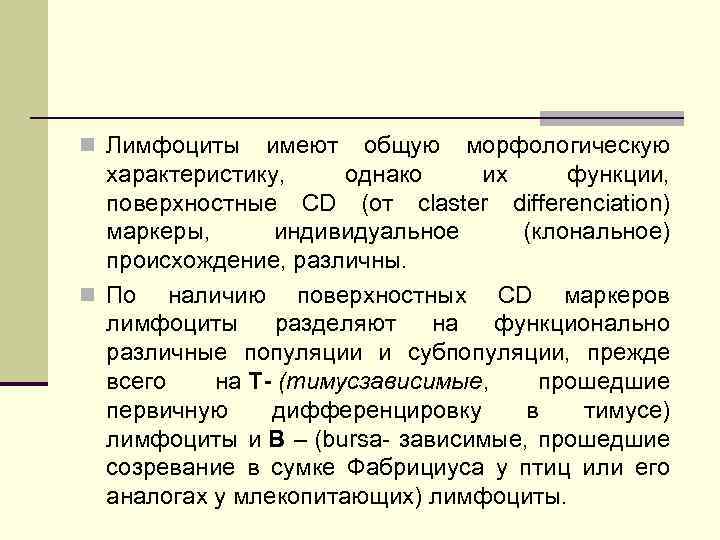 n Лимфоциты имеют общую морфологическую характеристику, однако их функции, поверхностные CD (от claster differenciation)