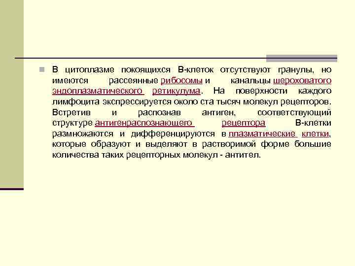 n В цитоплазме покоящихся B клеток отсутствуют гранулы, но имеются рассеянные рибосомы и канальцы