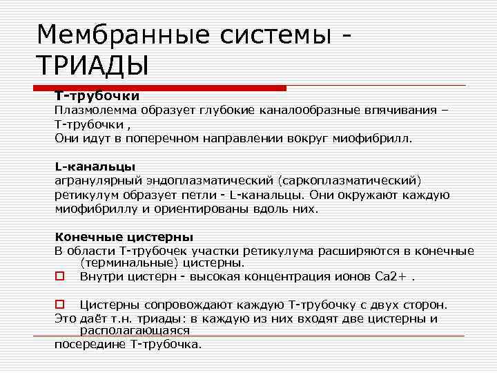 Мембранные системы ТРИАДЫ Т-трубочки Плазмолемма образует глубокие каналообразные впячивания – Т-трубочки , Они идут
