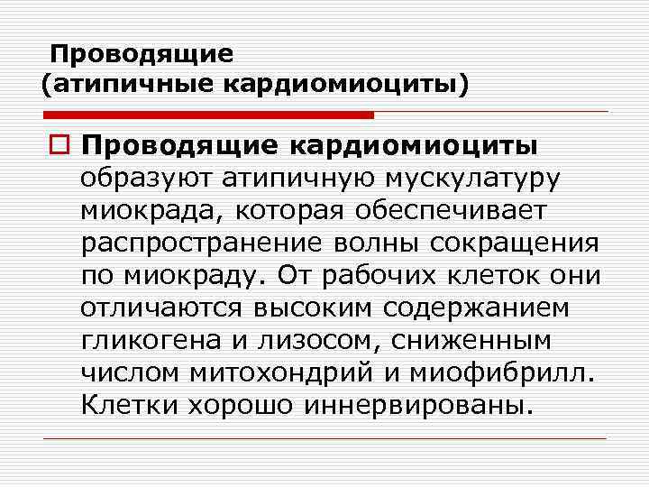 Проводящие (атипичные кардиомиоциты) o Проводящие кардиомиоциты образуют атипичную мускулатуру миокрада, которая обеспечивает распространение волны