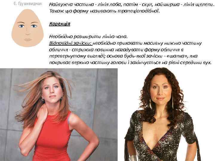 Найвужча частина - лінія лоба, потім - скул, найширша - лінія щелепи. Також цю