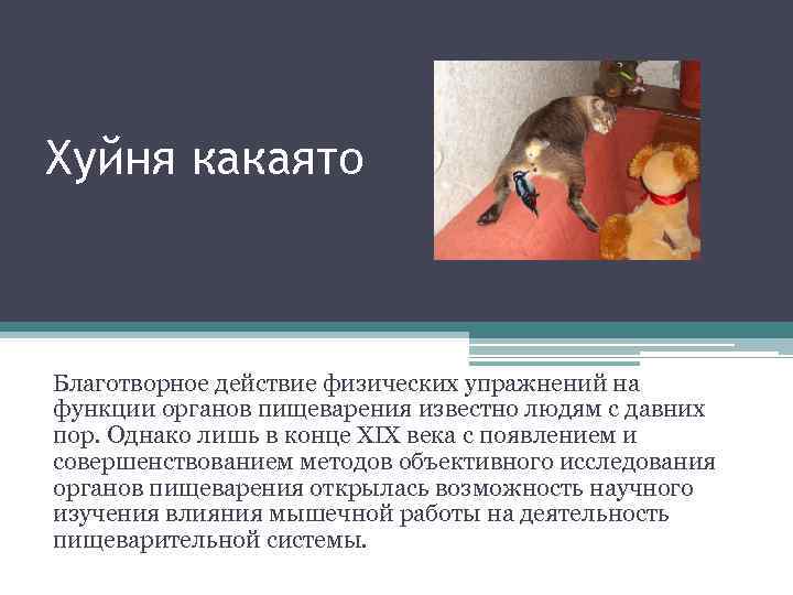 Хуйня какаято Благотворное действие физических упражнений на функции органов пищеварения известно людям с давних