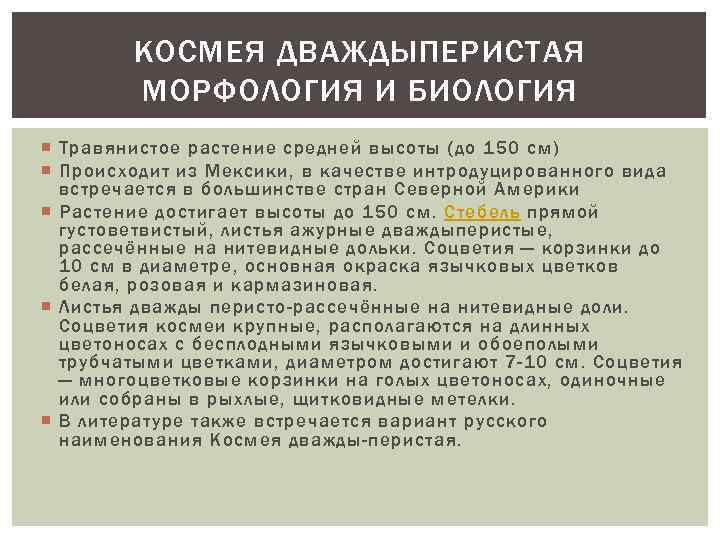 КОСМЕЯ ДВАЖДЫПЕРИСТАЯ МОРФОЛОГИЯ И БИОЛОГИЯ Травянистое растение средней высоты (до 150 см) Происходит из