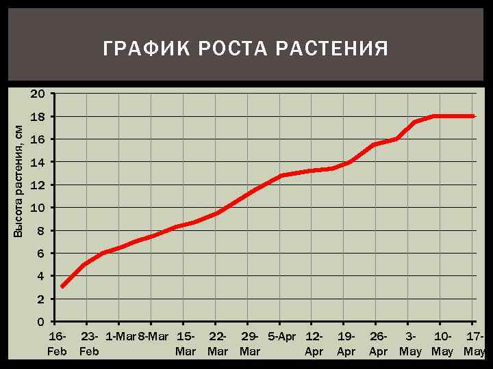 ГРАФИК РОСТА РАСТЕНИЯ 20 Высота растения, см 18 16 14 12 10 8 6