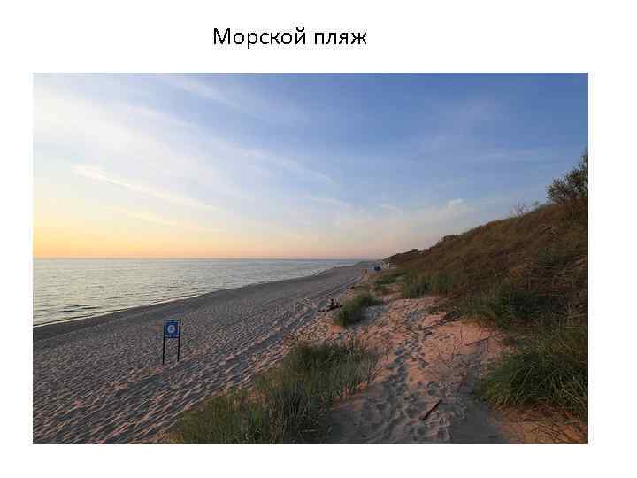 Морской пляж 