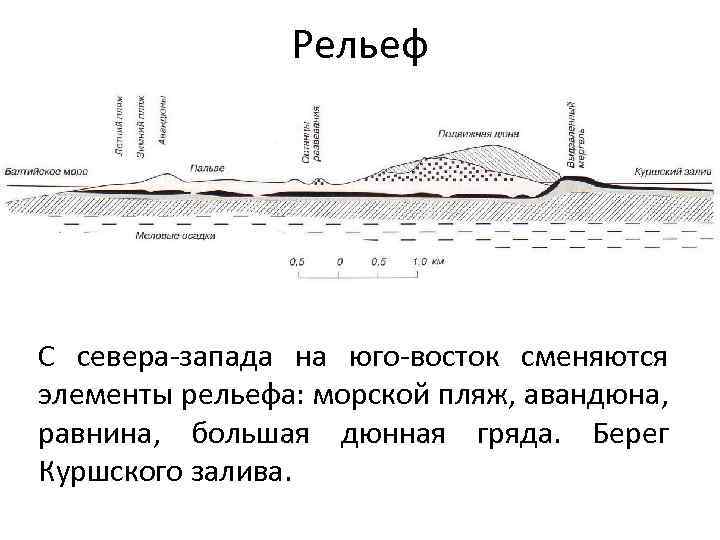 Рельеф С севера-запада на юго-восток сменяются элементы рельефа: морской пляж, авандюна, равнина, большая дюнная