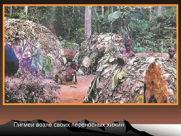 Пигмеи возле своих переносных хижин 