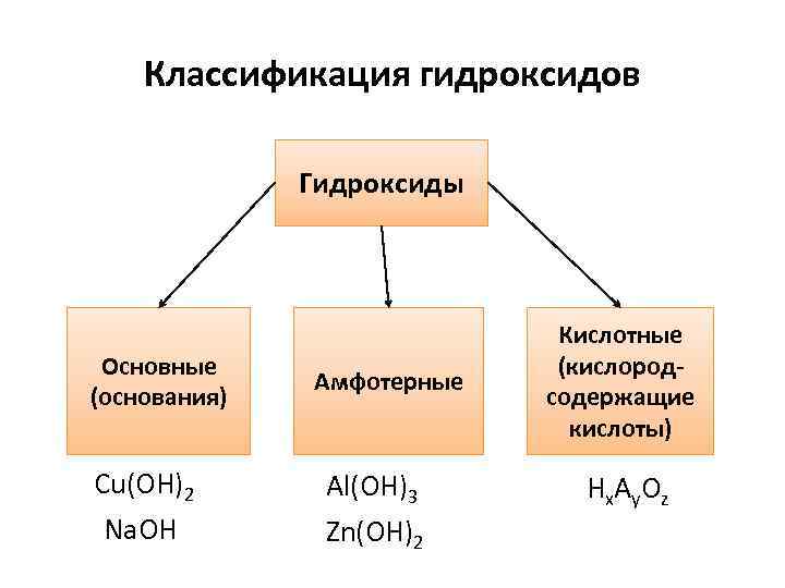 Заполните схему классификация оснований